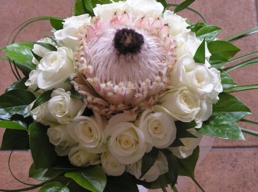 db_p1010166.jpg