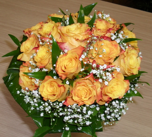 db_SAM_0451.jpg